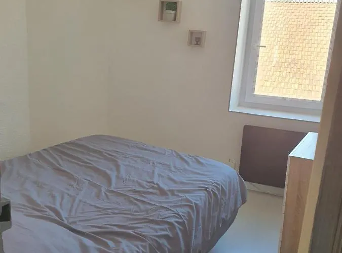 T3 Meuble Et Equipe Proximite De La Gare Valence